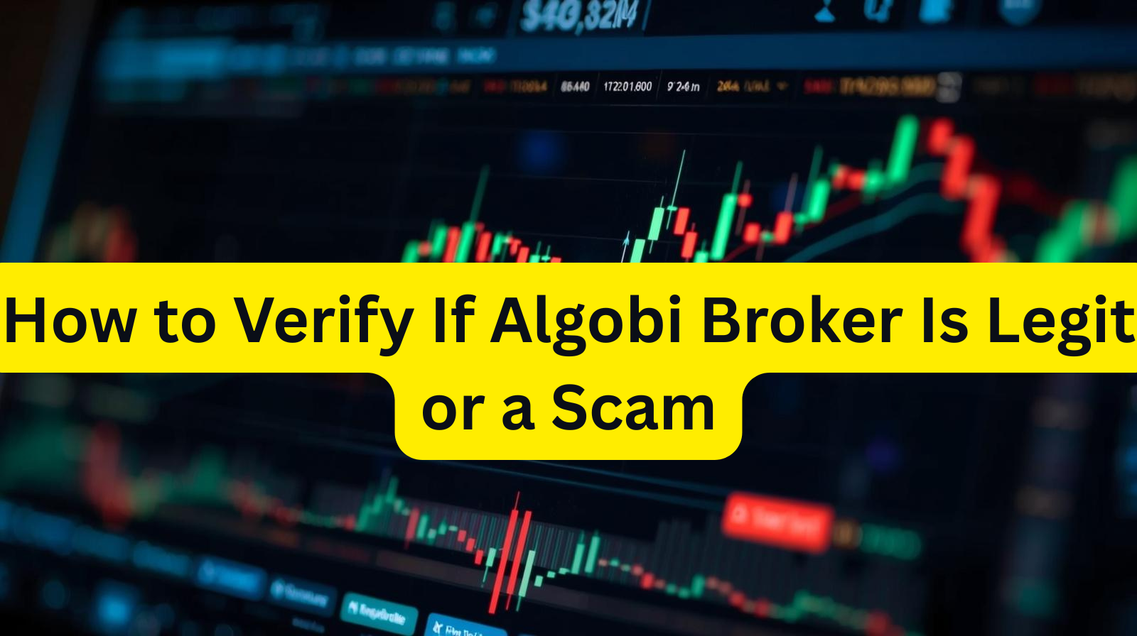 Algobi Broker Is Legit or a Scam
